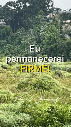 Tradução Promises