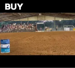 Buy  dirt 
