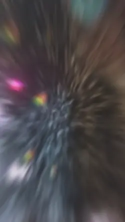 MAutocut06