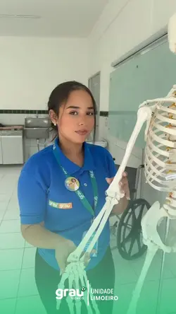 Estudo ossos
