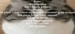 Competition 