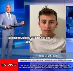 Con una yegua 😳