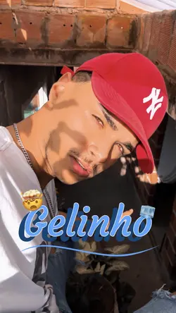 GELINHO 🧊