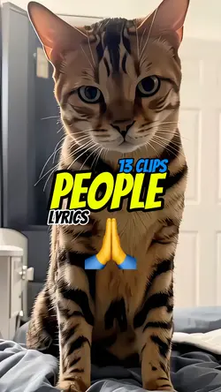 Please people! 🙏😾
