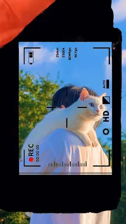 Photo Click