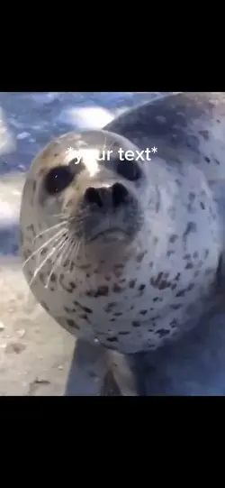 Seal