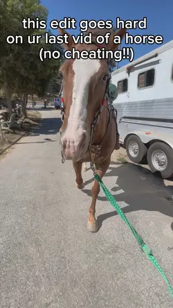 cool horse edit