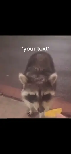 Raccoon vs Doritos