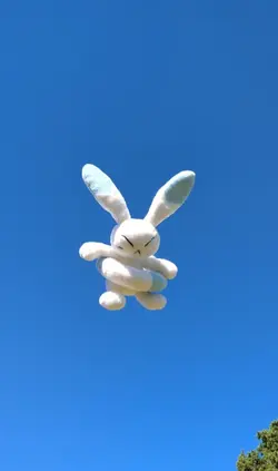 warabbit