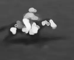 Barrel Racing edit!