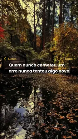 Frases diárias 🎯