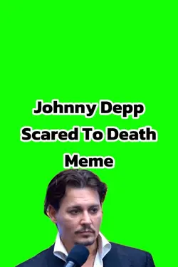 Johnny Depp Meme
