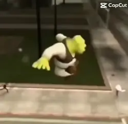 Shrek meme
