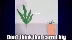 Carrot