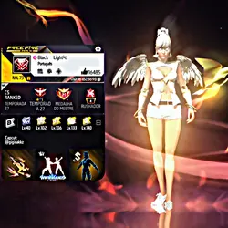 PERFIL FREE FIRE