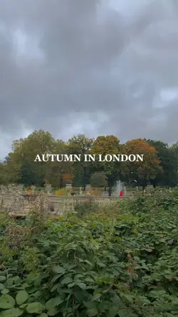 Autumn in London 🍂