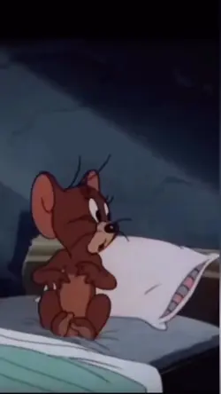 Tom and Jerry🐿️