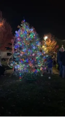 Christmas lights 