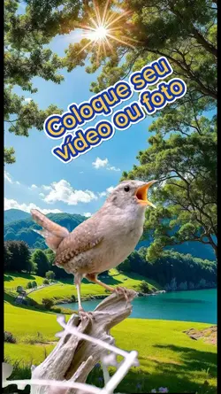 Cantoria de pássaro 