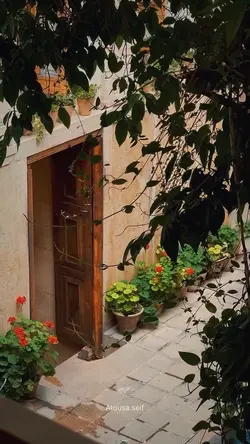 بهار🌸