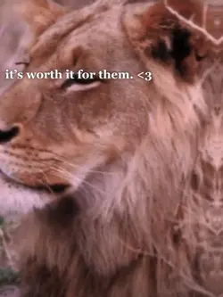 ANIMALSS <3