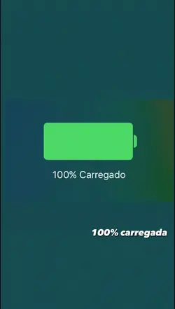 100% sua 