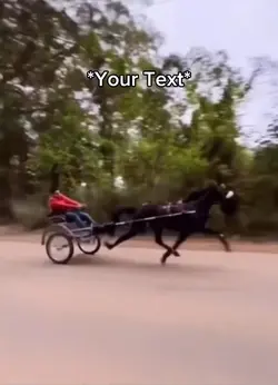 Zooooooom
