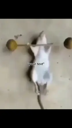 mouse work out meme