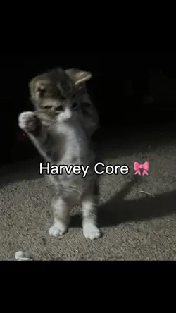 The best core ever 