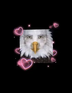 America