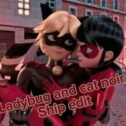 Ladybug & cat noir 