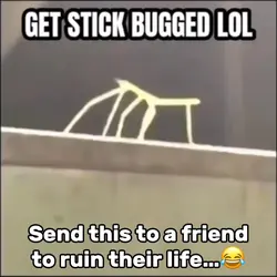 Get Stick Bugged