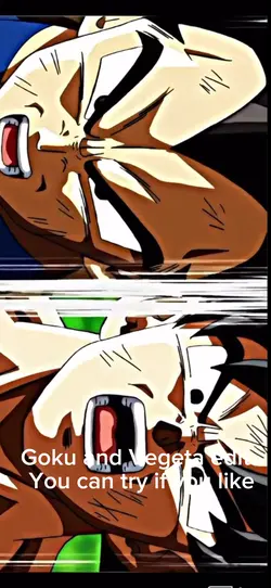 Goku and Vegeta 