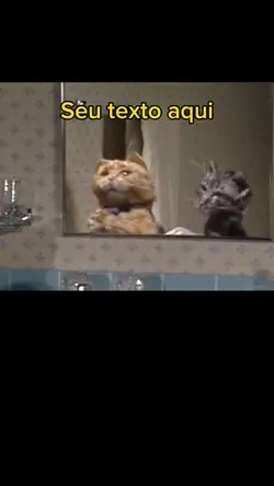 gatinho vilão 