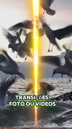 transições