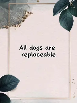 Can't replace him 