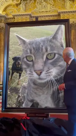 obra de arte do rei