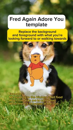 Winnie 🚶 Meme