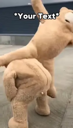 Bears Dancing Meme
