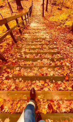 Bienvenido Noviembre