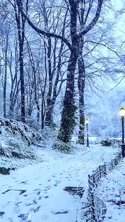 Winter snow