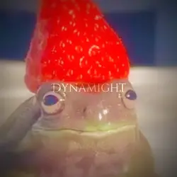 Frog >.<