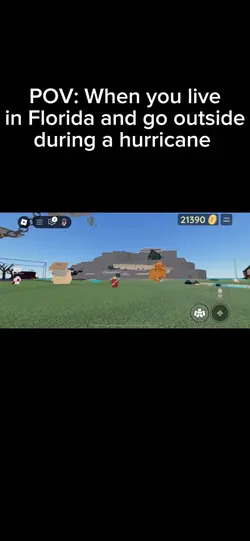 Bro