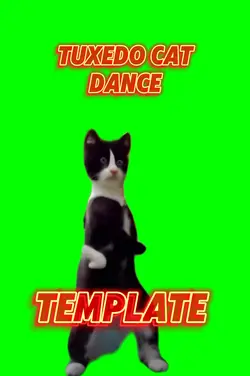 Tuxedo Cat Dance