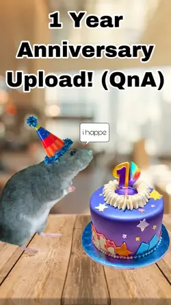 1 year anniversary