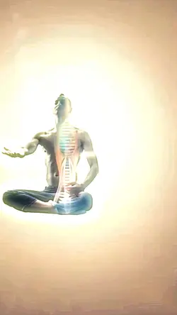 Meditate in Motion