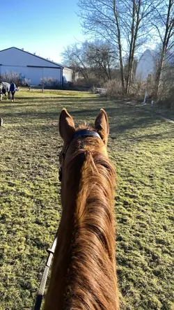 come ride with me!