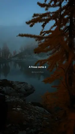A frase certa é...