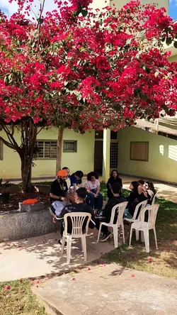 Edição Simples 