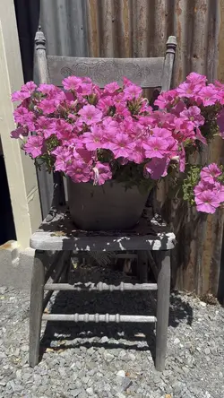 Heart transition 